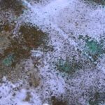 Prevent Ice Melt