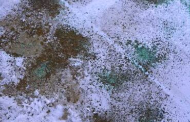 Prevent Ice Melt