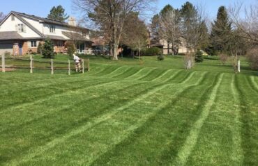 Lawn Stripes