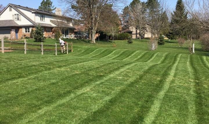 Lawn Stripes