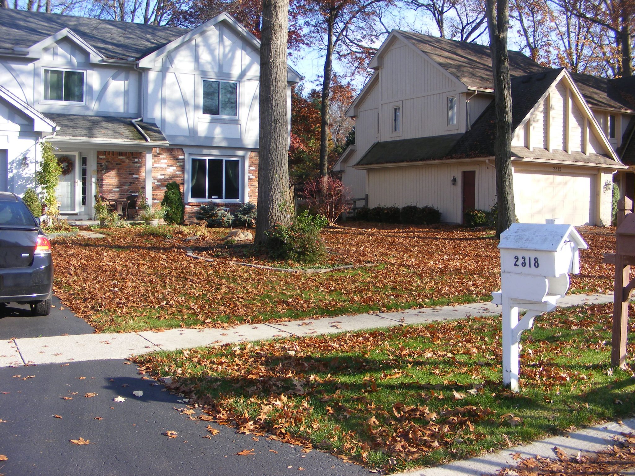 Fall Cleanup in Toledo Ohio