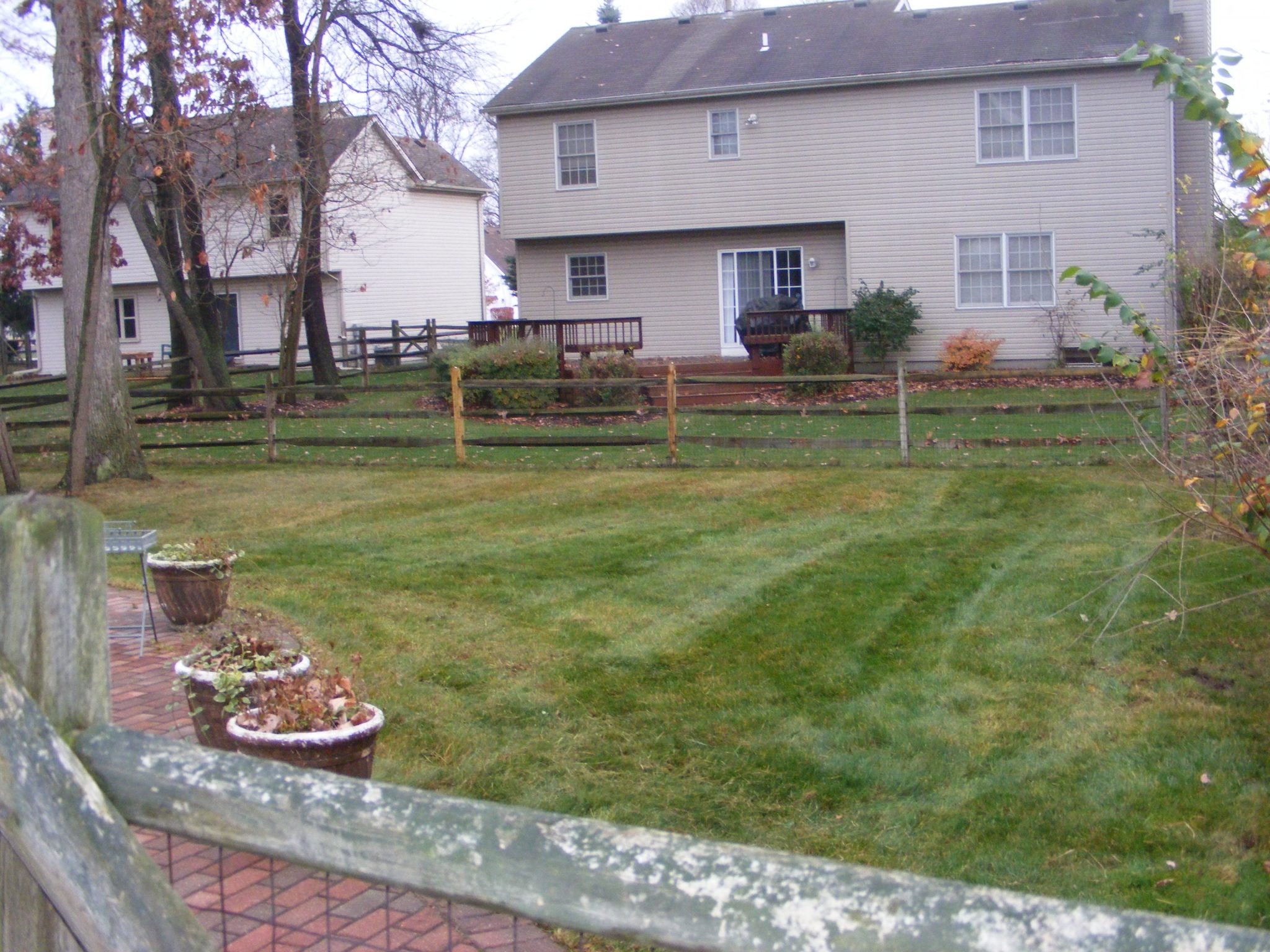 Autumn Cleanup in Toledo Ohio