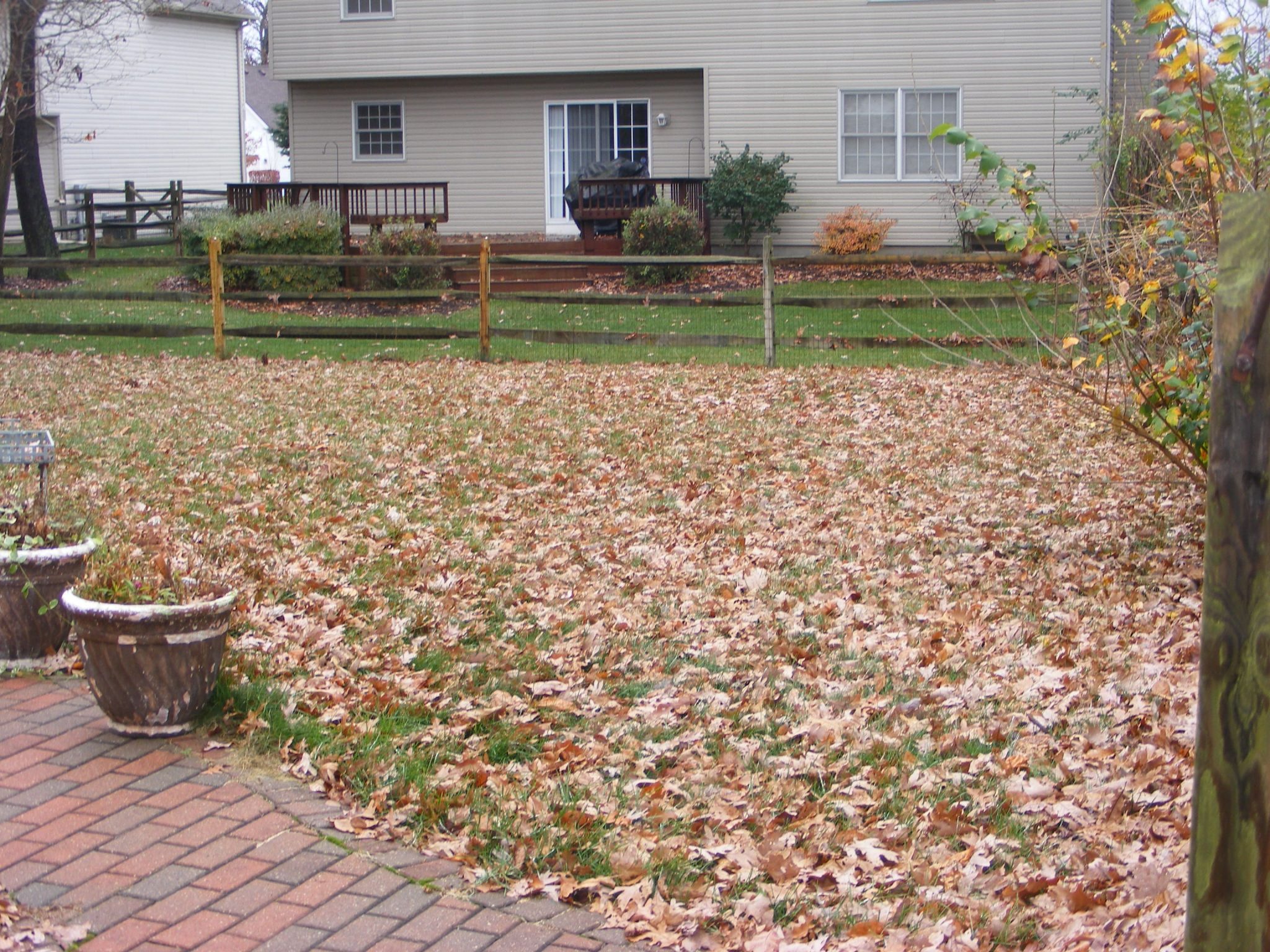 Autumn Cleanup in Toledo Ohio