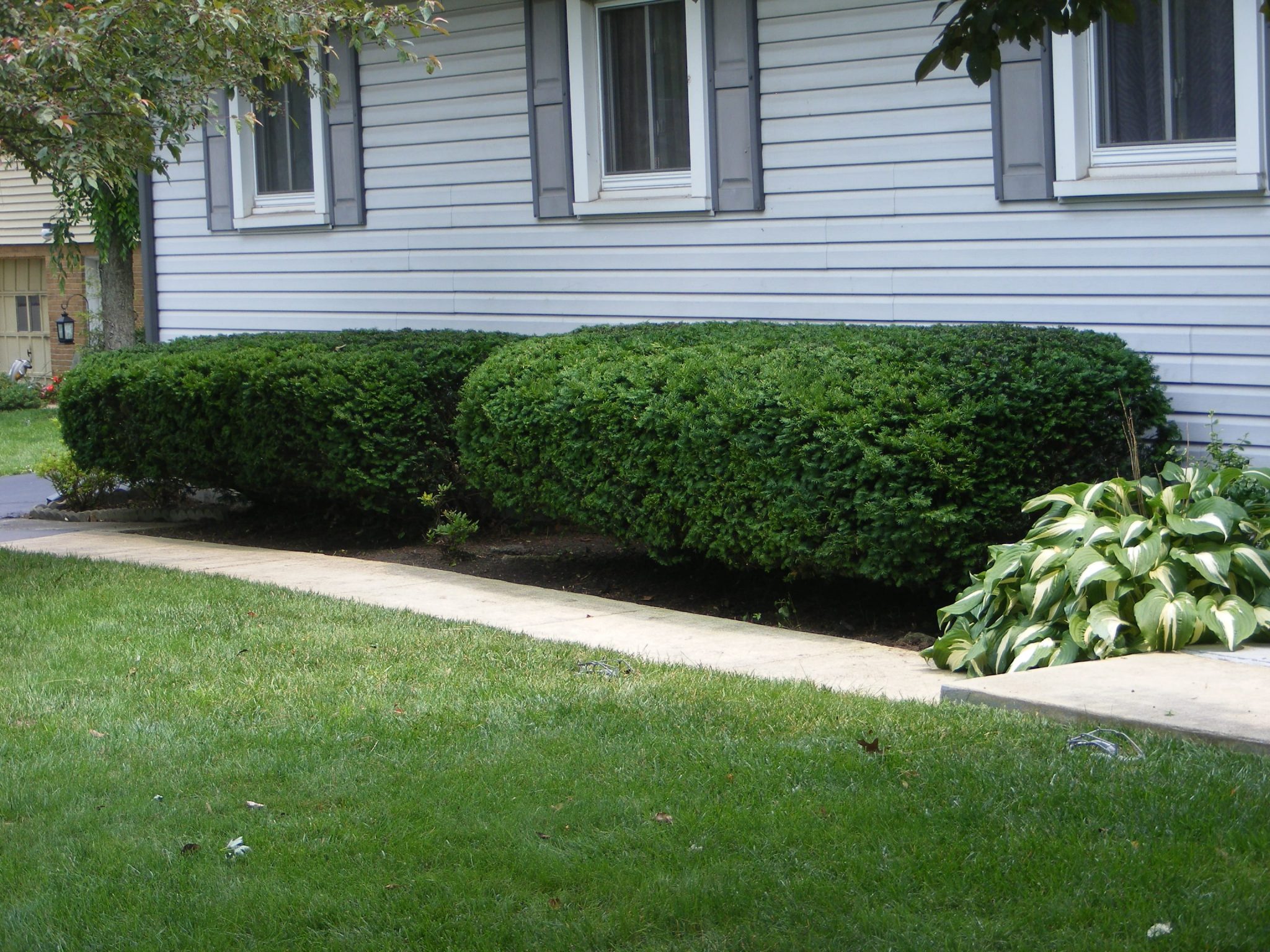 Landscaping in Toledo Ohio