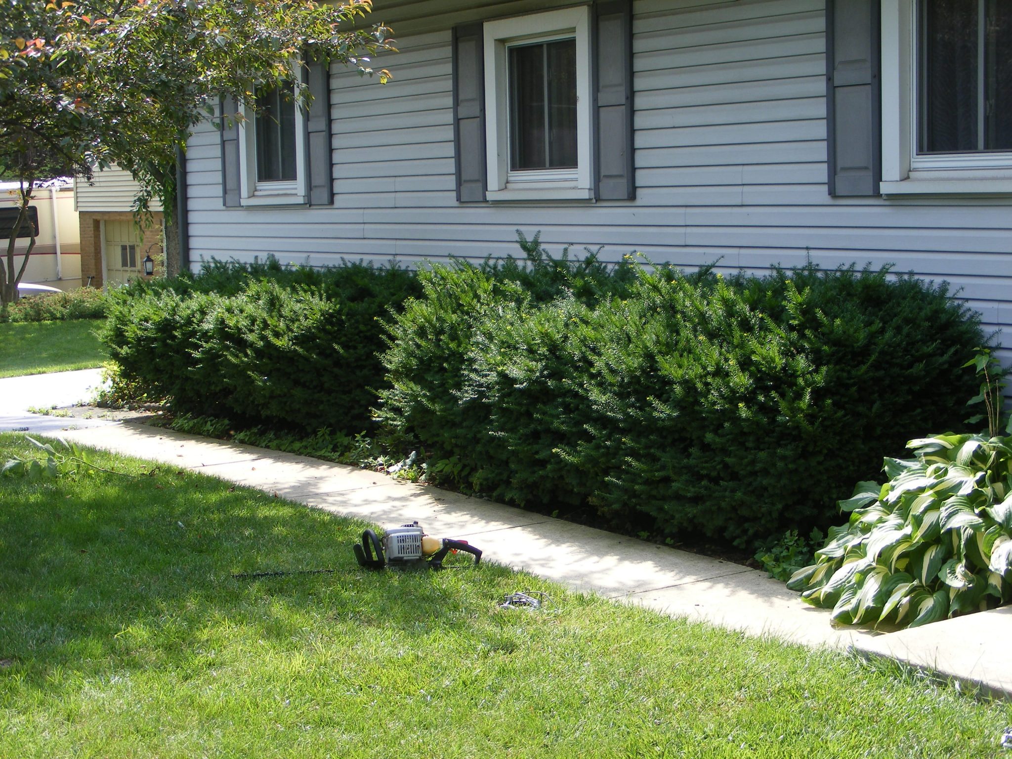 Landscaping in Toledo Ohio