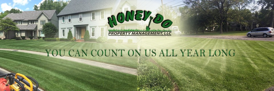 Call Honey Do Property Management to Clean the Fall