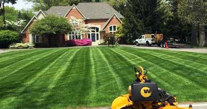 Keeping Grass Green During Hot Weather
